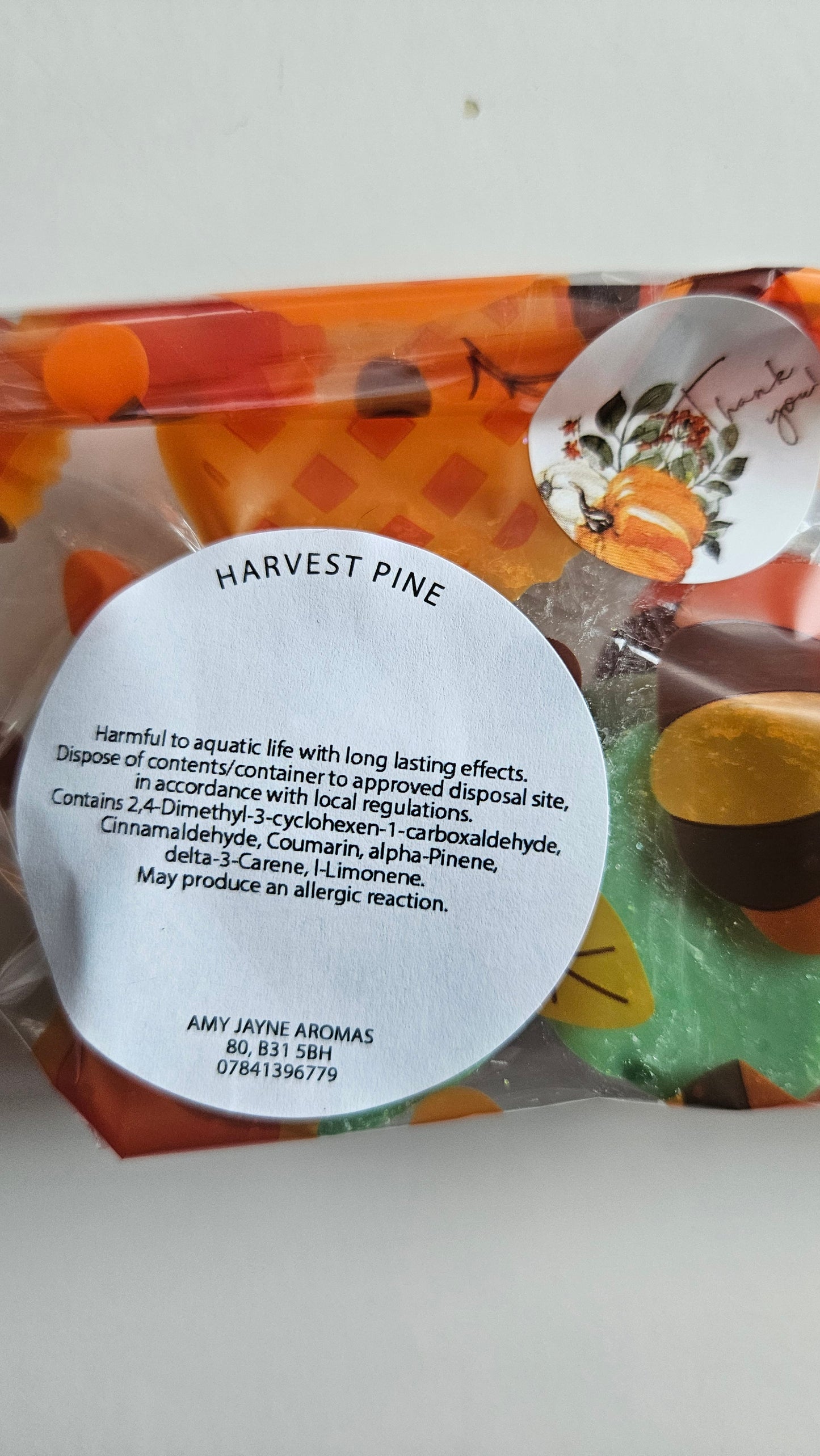 Harvest Pine Pumpkins