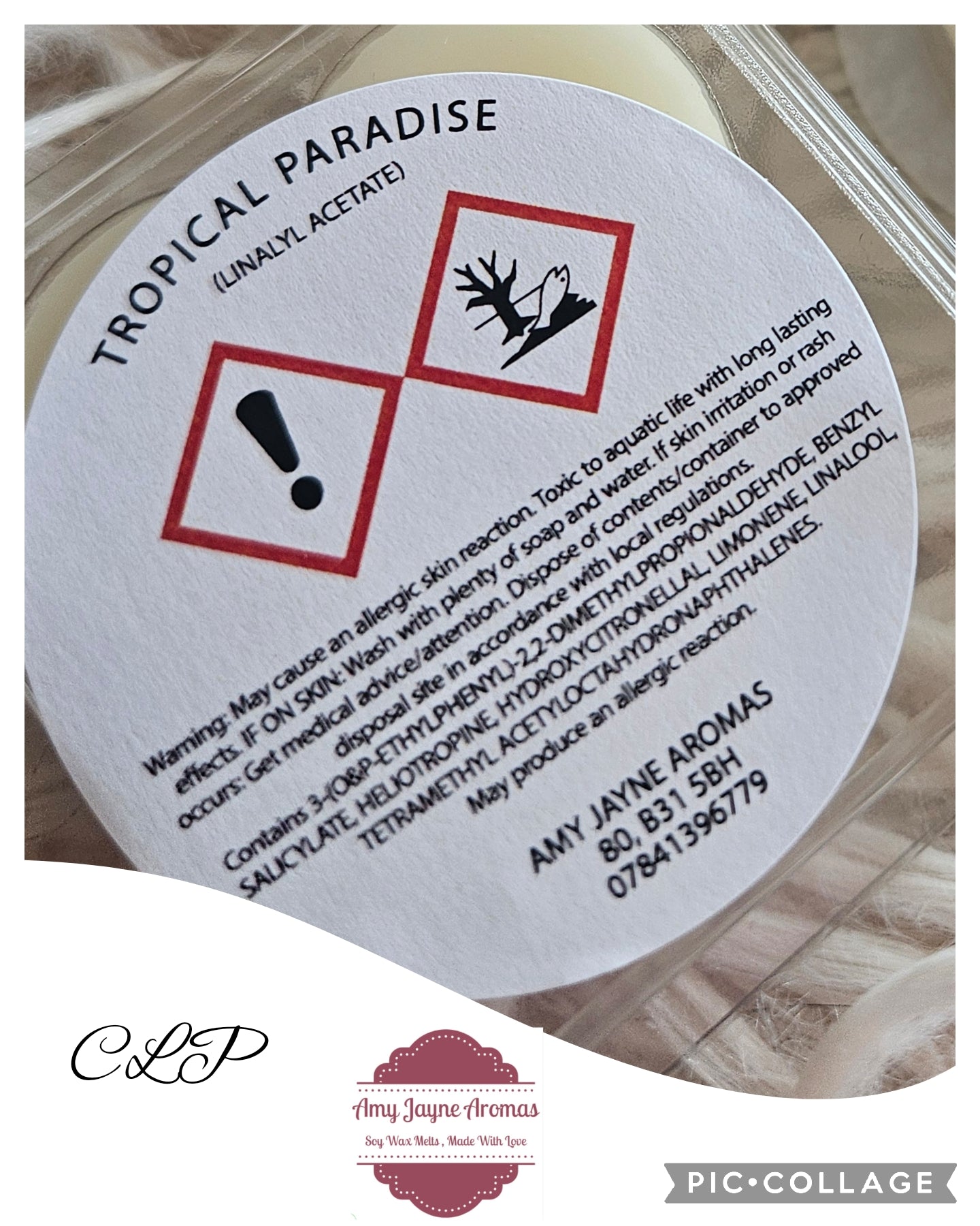 Tropical Paradise Sample