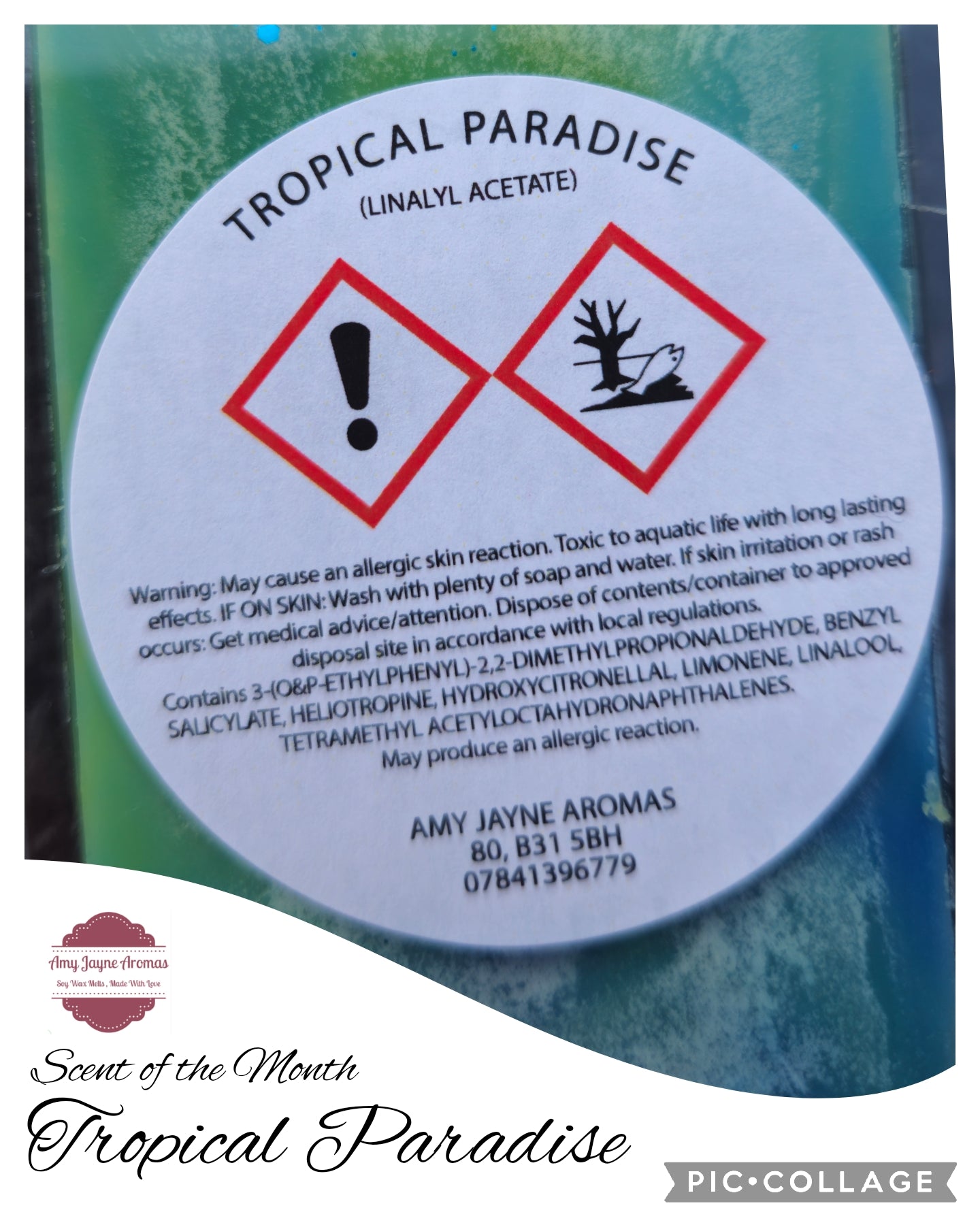 Tropical Paradise