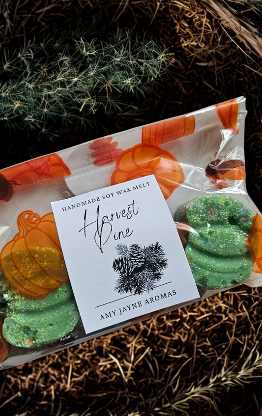 Harvest Pine Pumpkins